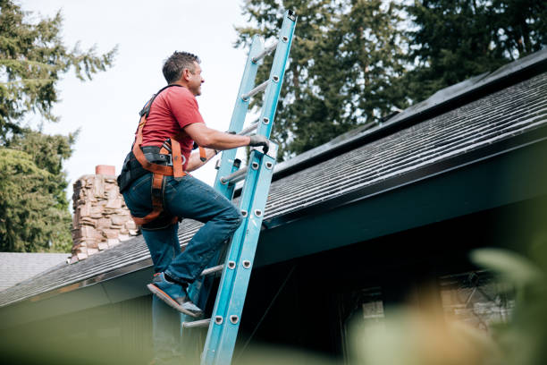 Best Roof Installation  in Cobden, IL