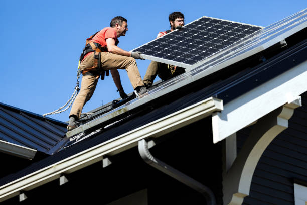 Best Asphalt Shingle Roofing  in Cobden, IL
