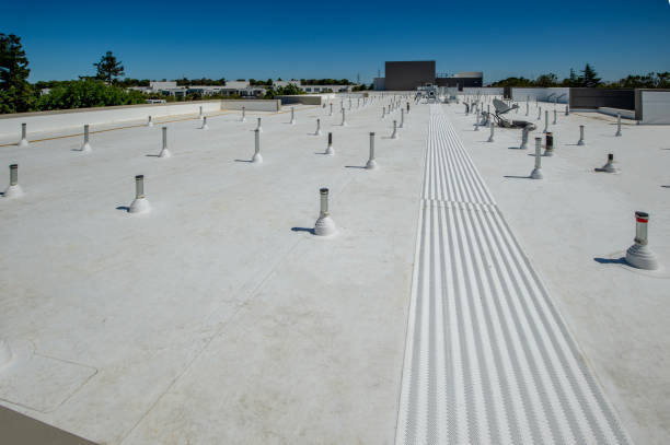 Best 4 Ply Roofing  in Cobden, IL